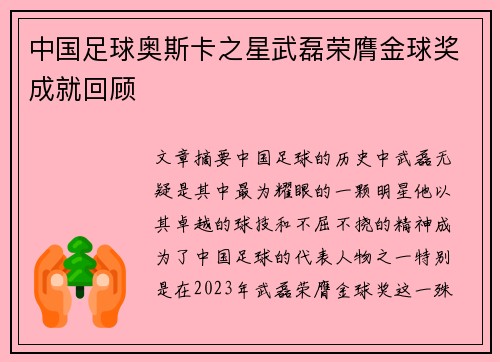 中国足球奥斯卡之星武磊荣膺金球奖成就回顾