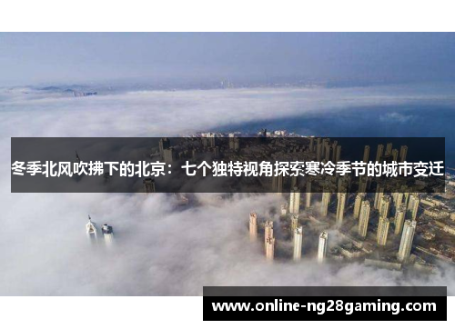 冬季北风吹拂下的北京：七个独特视角探索寒冷季节的城市变迁