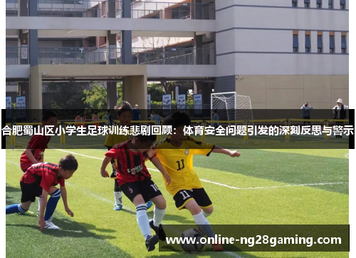 合肥蜀山区小学生足球训练悲剧回顾：体育安全问题引发的深刻反思与警示