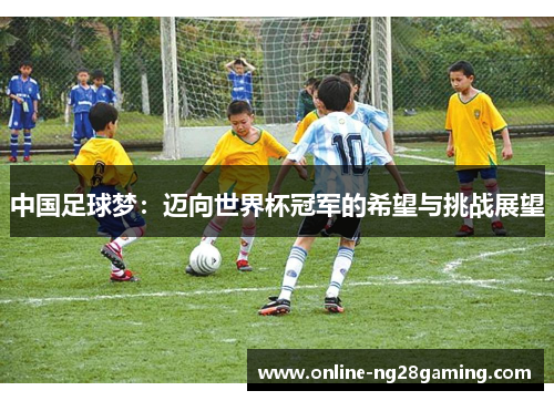 中国足球梦：迈向世界杯冠军的希望与挑战展望