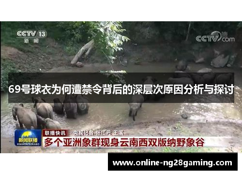 69号球衣为何遭禁令背后的深层次原因分析与探讨