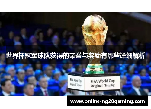 世界杯冠军球队获得的荣誉与奖励有哪些详细解析