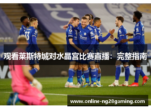 观看莱斯特城对水晶宫比赛直播：完整指南