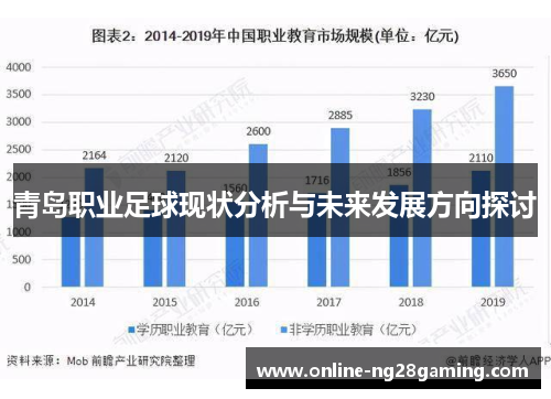 青岛职业足球现状分析与未来发展方向探讨