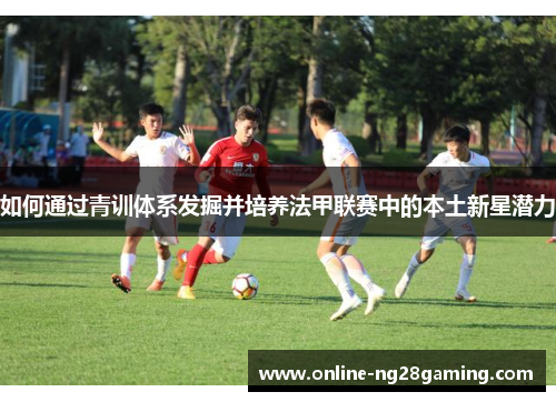 如何通过青训体系发掘并培养法甲联赛中的本土新星潜力